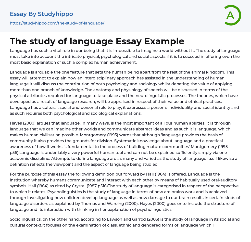 The study of language Essay Example