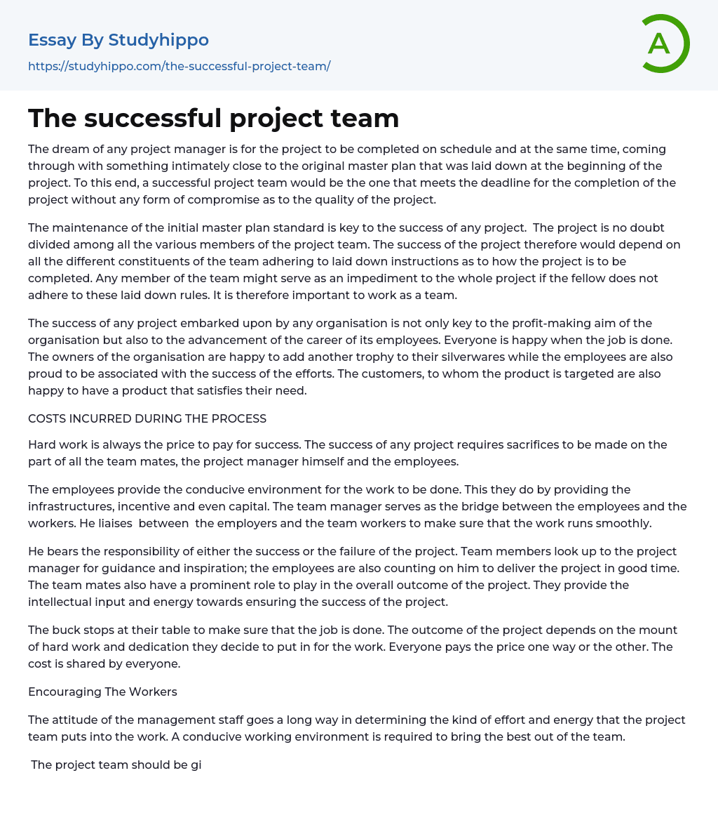 The successful project team Essay Example