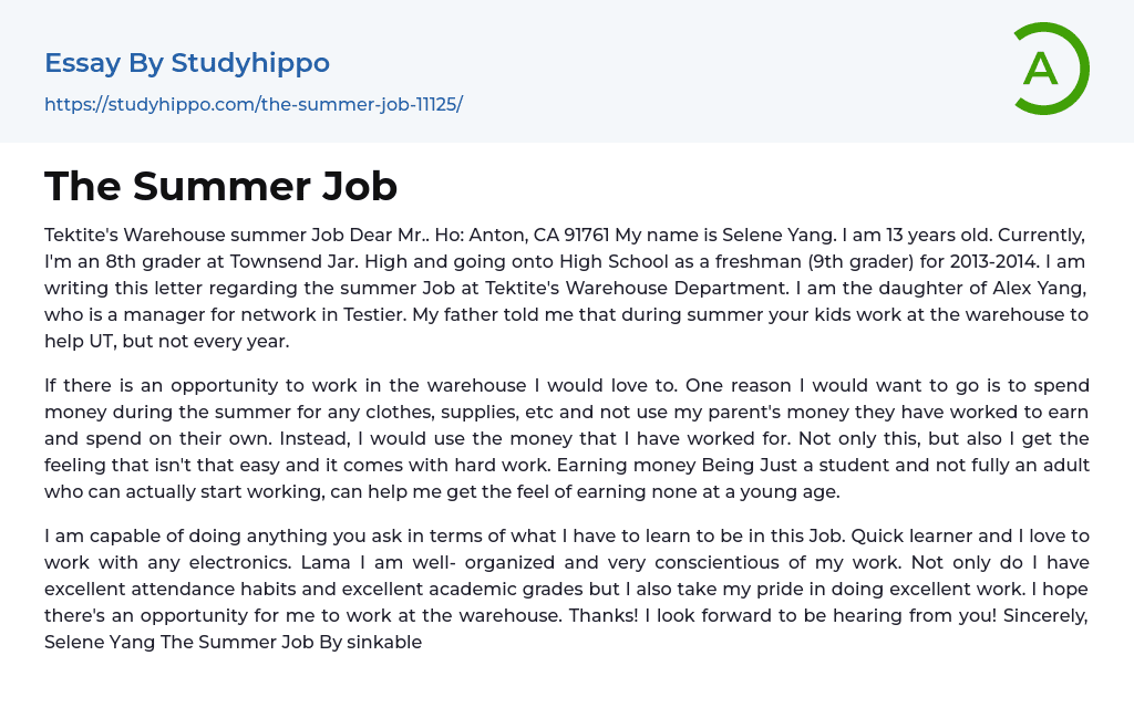 The Summer Job Essay Example
