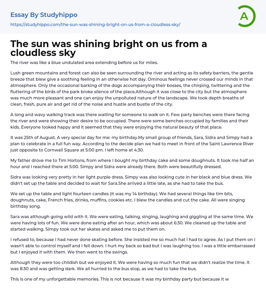 The sun was shining bright on us from a cloudless sky Essay Example