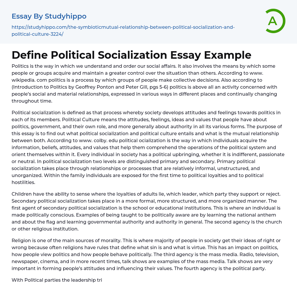 Define Political Socialization Essay Example
