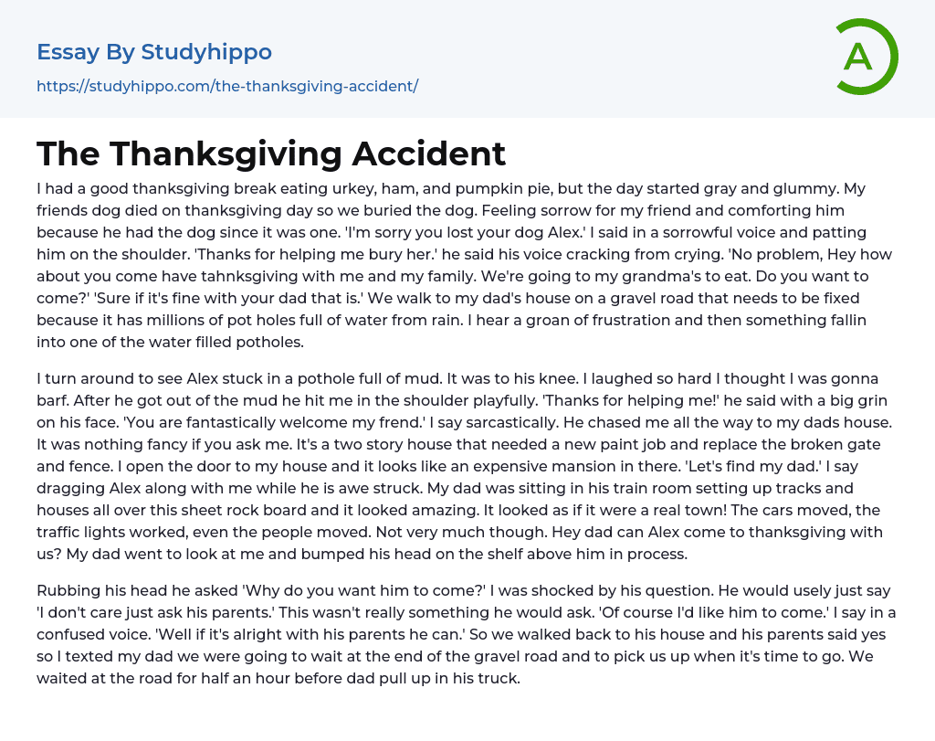 The Thanksgiving Accident Essay Example