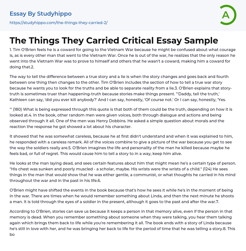 The Things They Carried Critical Essay Sample