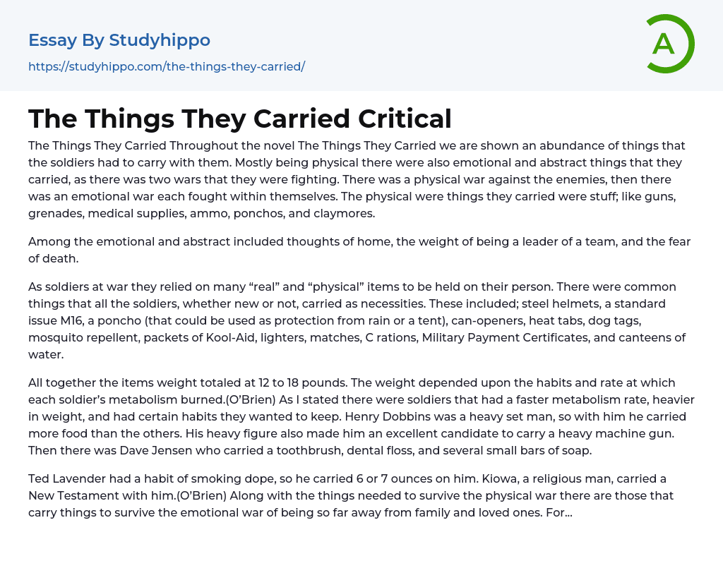 The Things They Carried Critical Essay Example