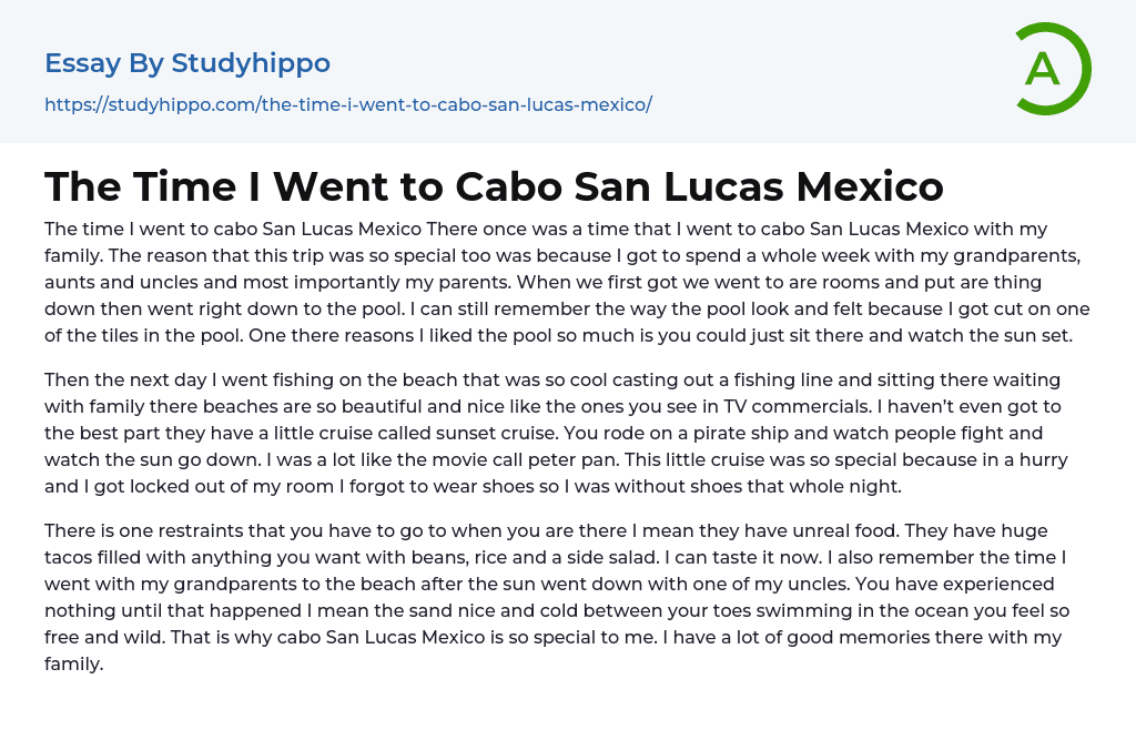 The Time I Went to Cabo San Lucas Mexico Essay Example