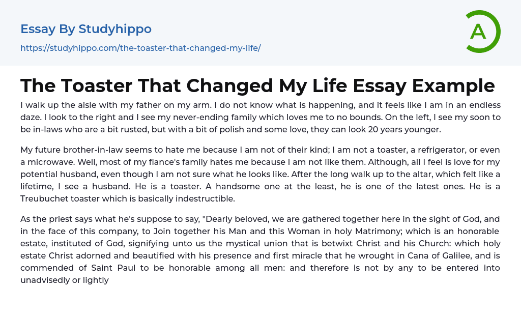 The Toaster That Changed My Life Essay Example