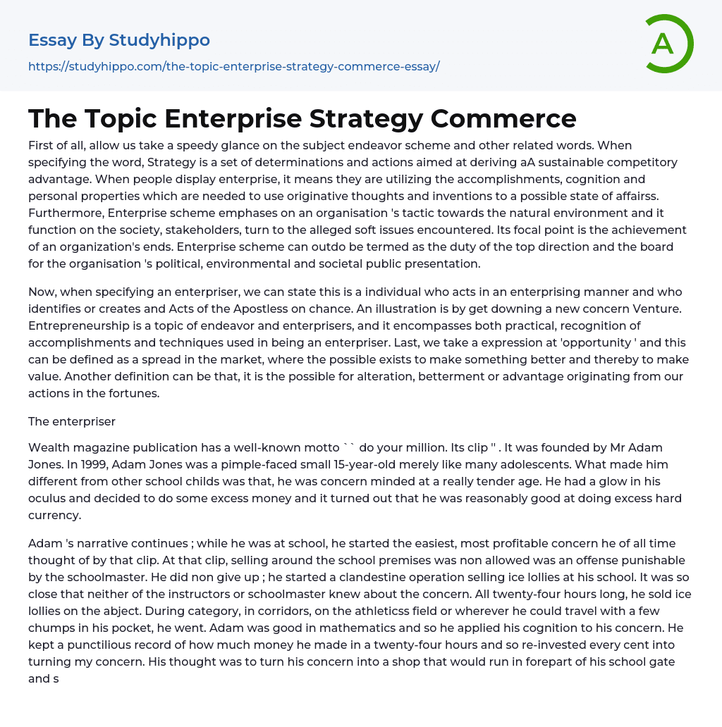 The Topic Enterprise Strategy Commerce Essay Example
