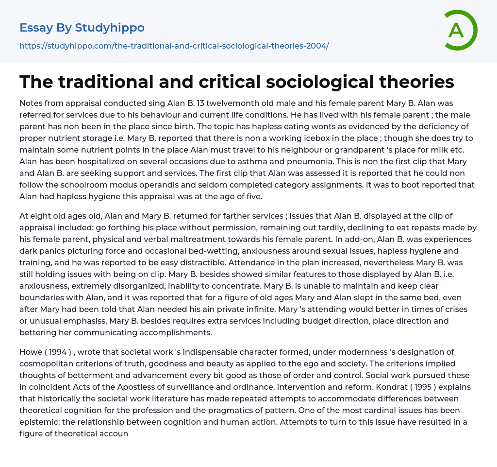 The traditional and critical sociological theories Essay Example