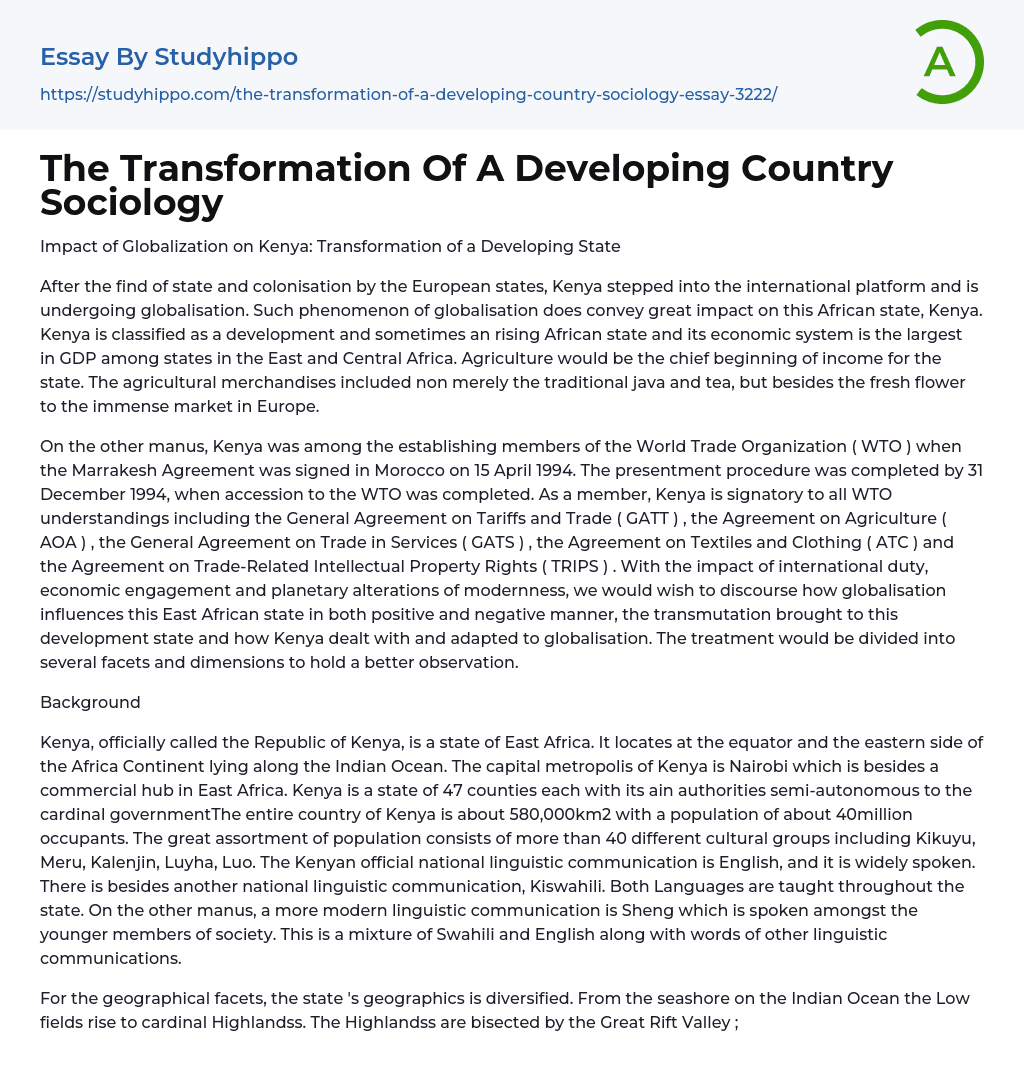 The Transformation Of A Developing Country Sociology Essay Example
