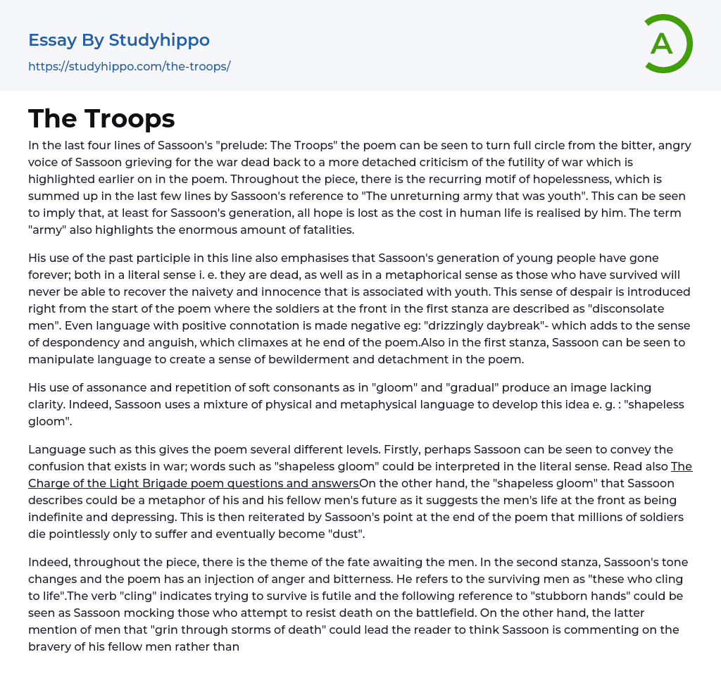 The Troops Essay Example
