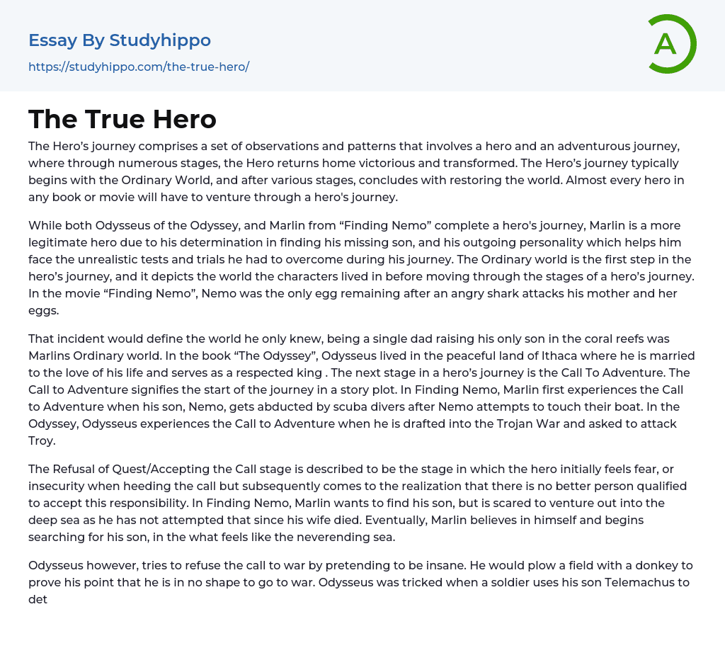 The True Hero Essay Example
