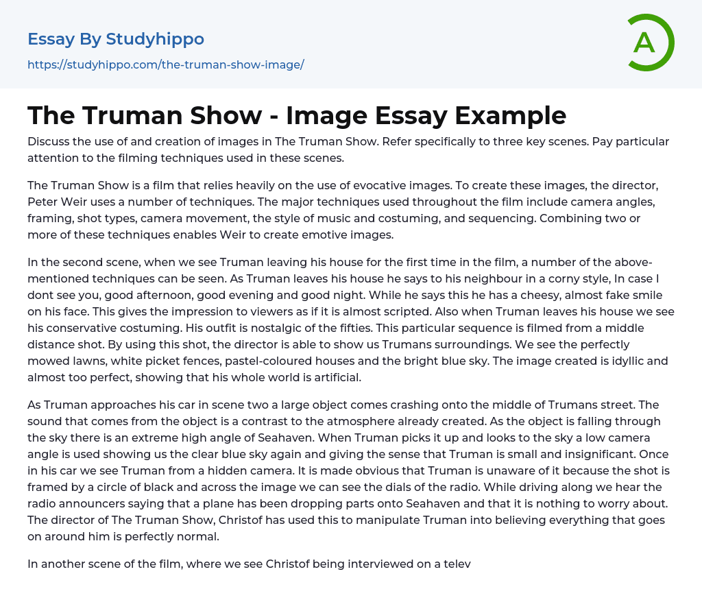 The Truman Show – Image Essay Example