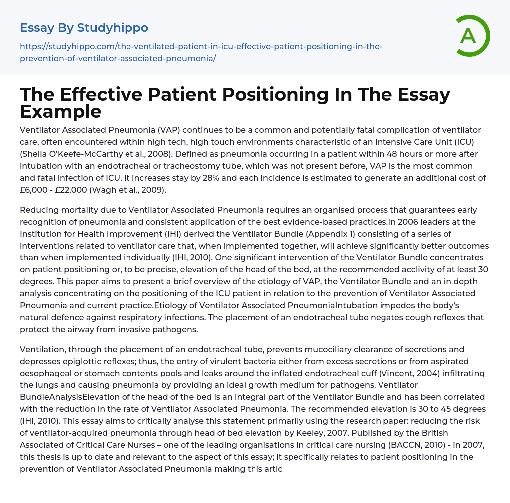 The Effective Patient Positioning In The Essay Example