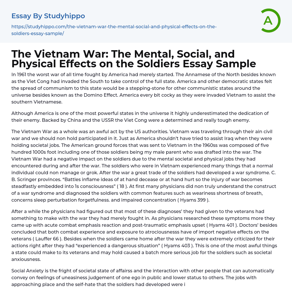 The Vietnam War: The Mental, Social, and Physical Effects on the Soldiers Essay Sample