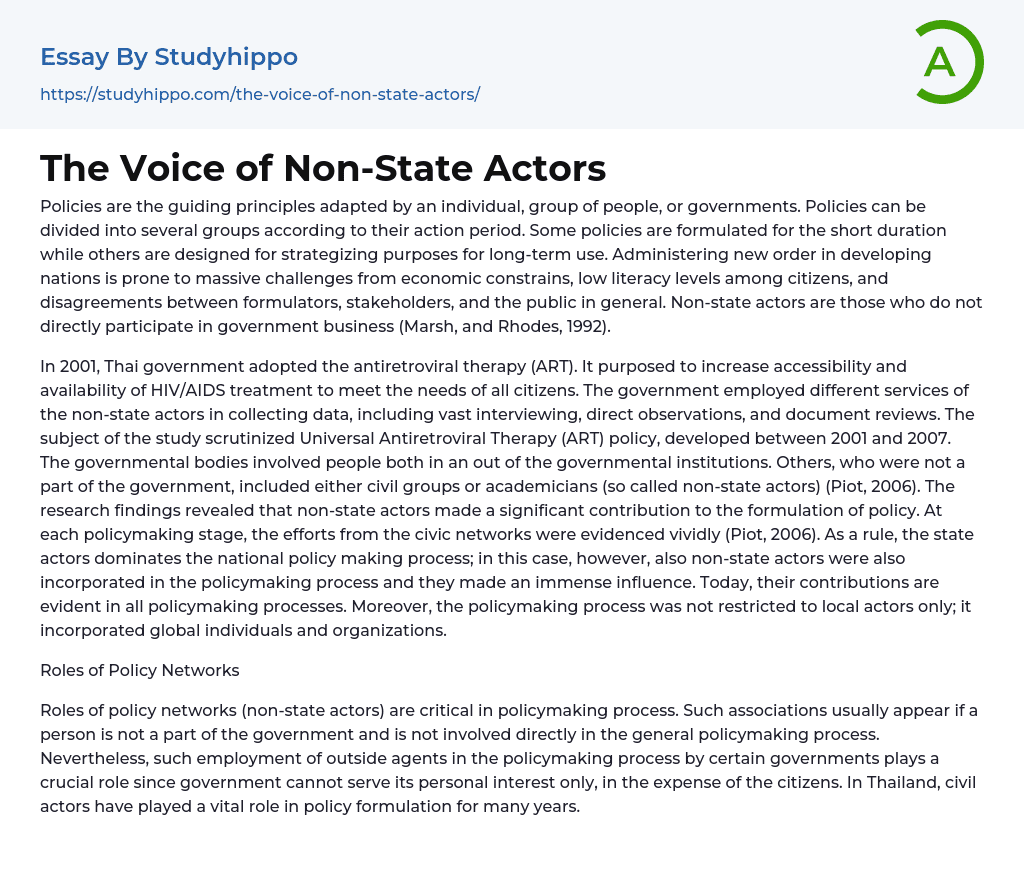 The Voice of Non-State Actors Essay Example