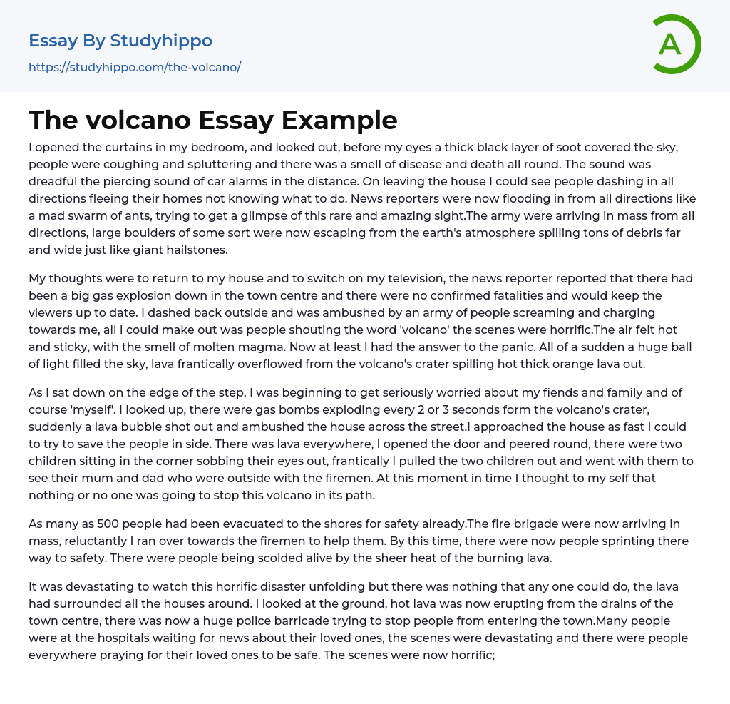 The volcano Essay Example