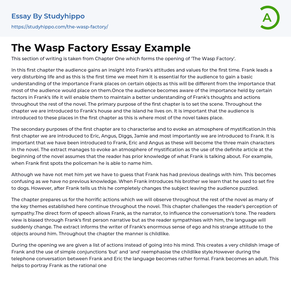 The Wasp Factory Essay Example