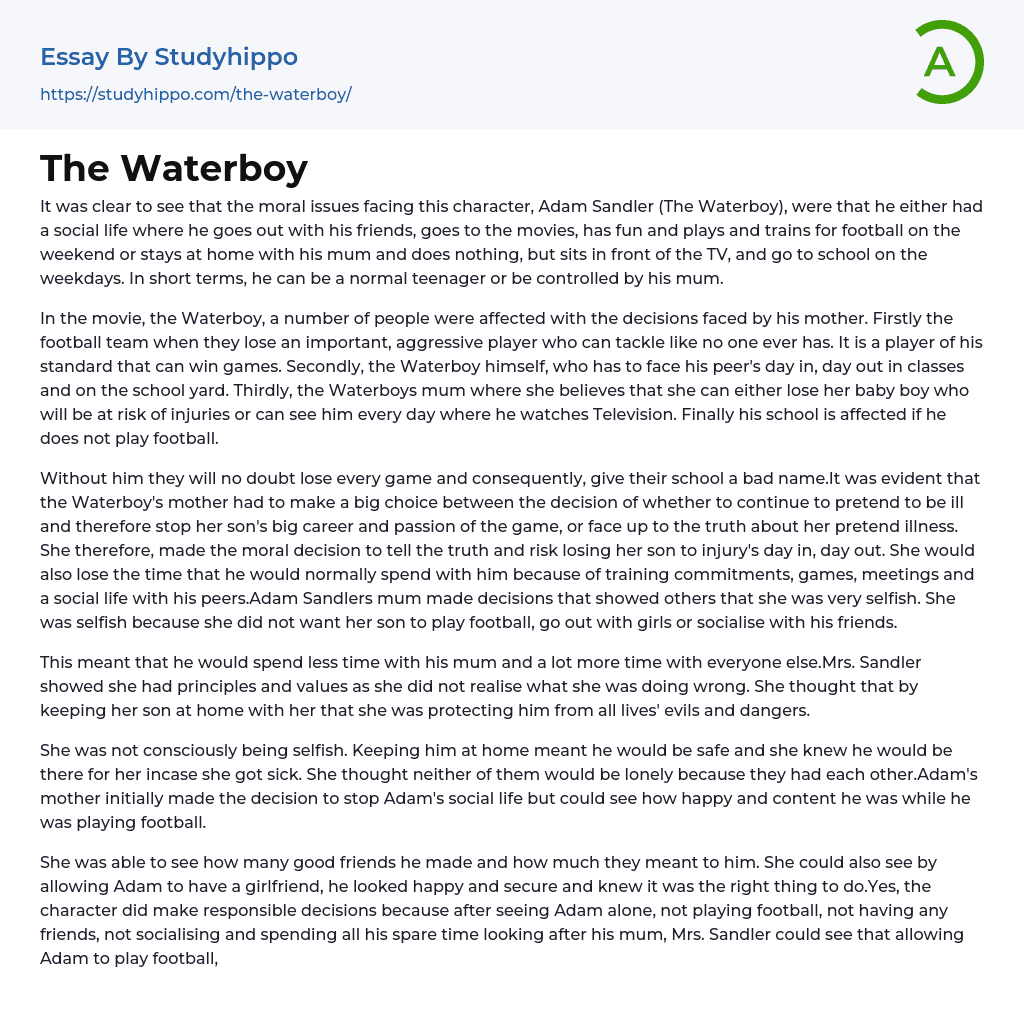 The Waterboy Essay Example