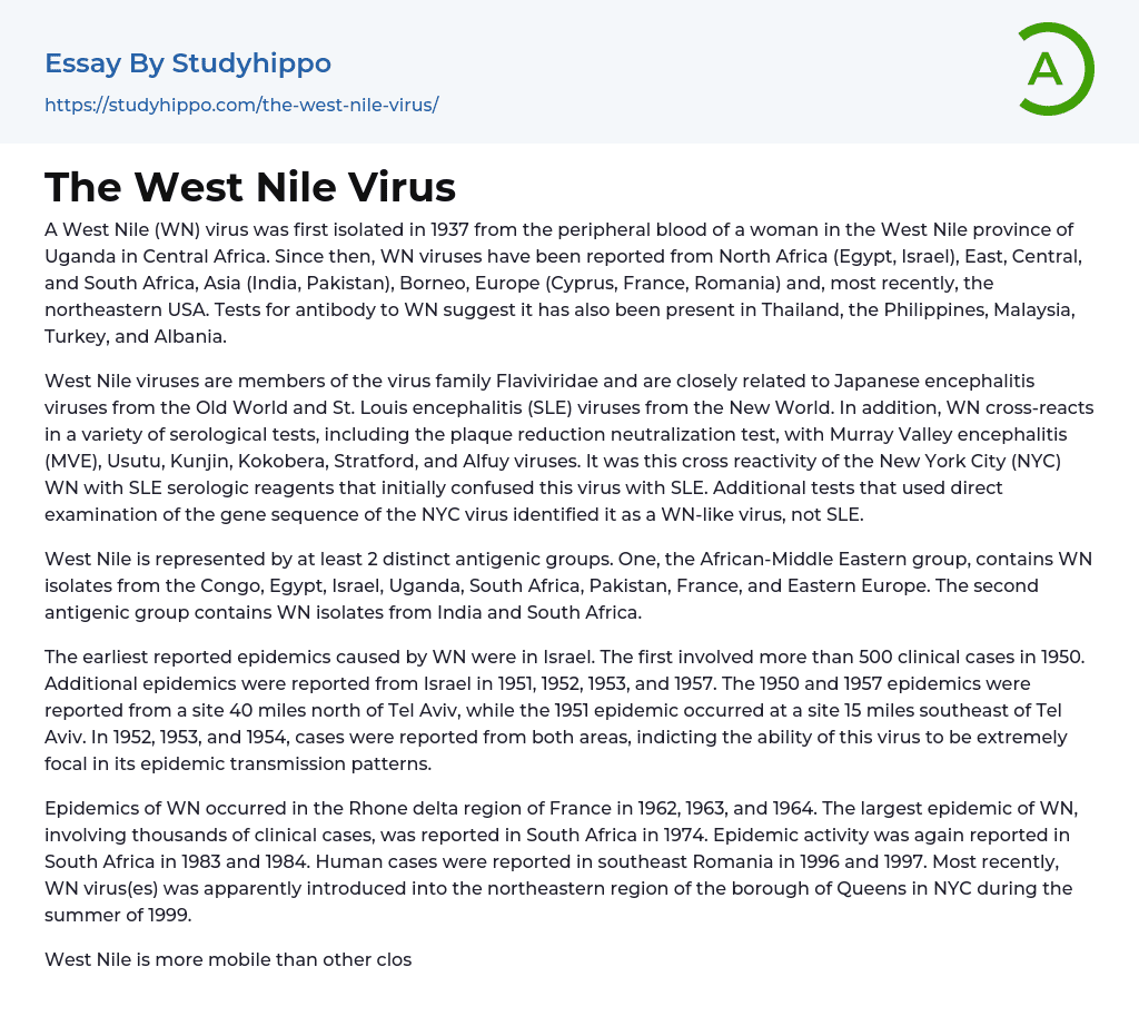 The West Nile Virus Essay Example