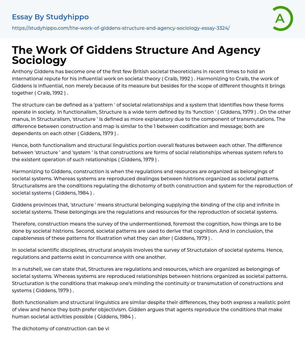 The Work Of Giddens Structure And Agency Sociology Essay Example
