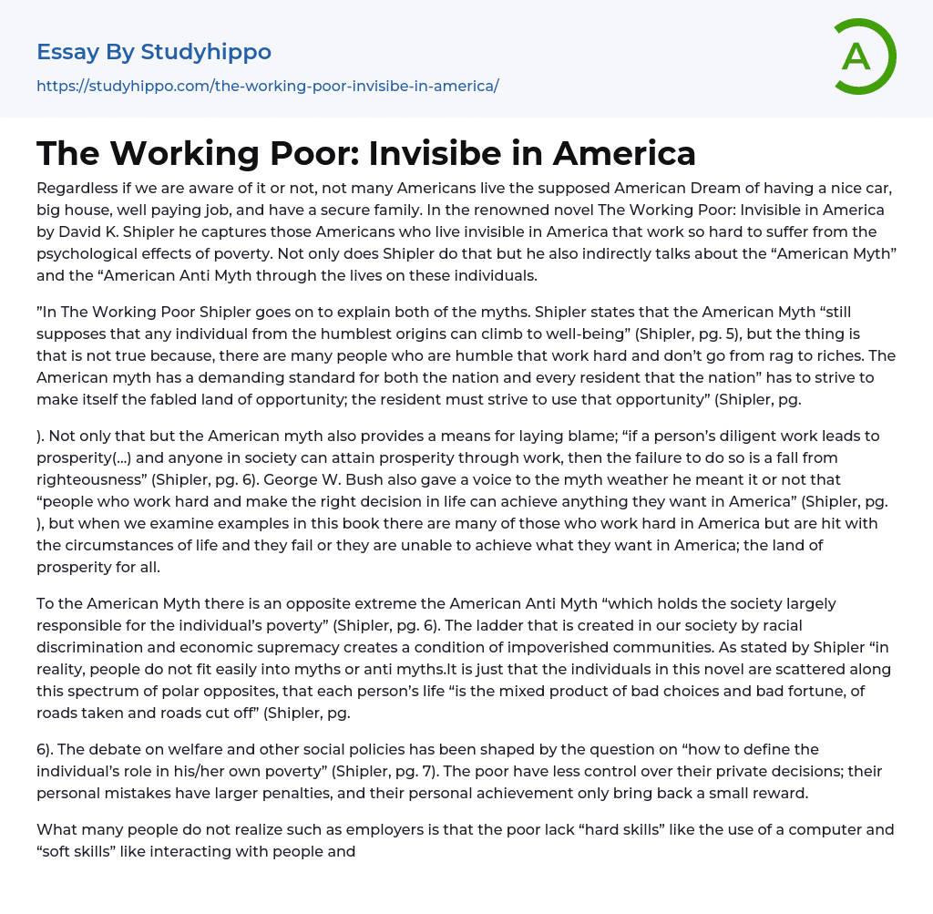 The Working Poor: Invisibe in America Essay Example