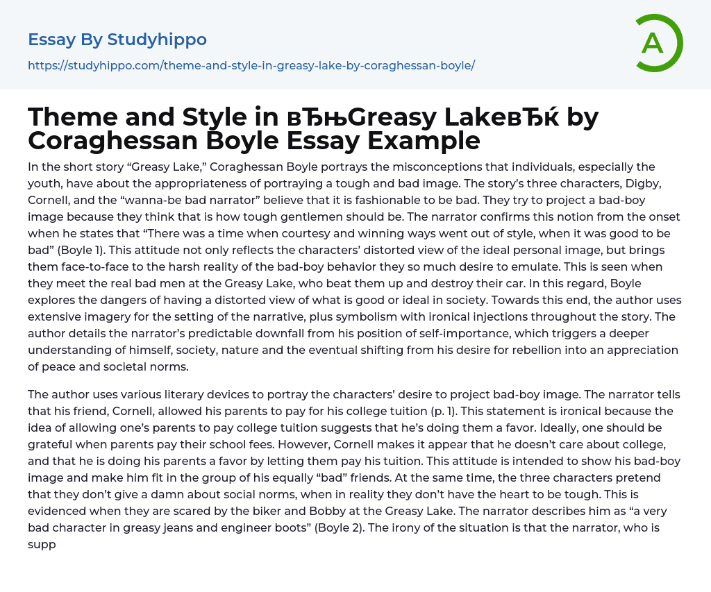 Theme and Style in “Greasy Lake” by Coraghessan Boyle Essay Example