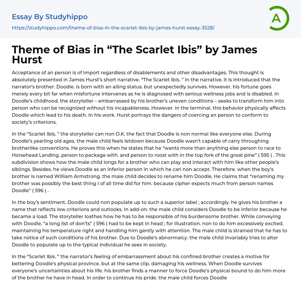 Theme of Bias in “The Scarlet Ibis” by James Hurst Essay Example