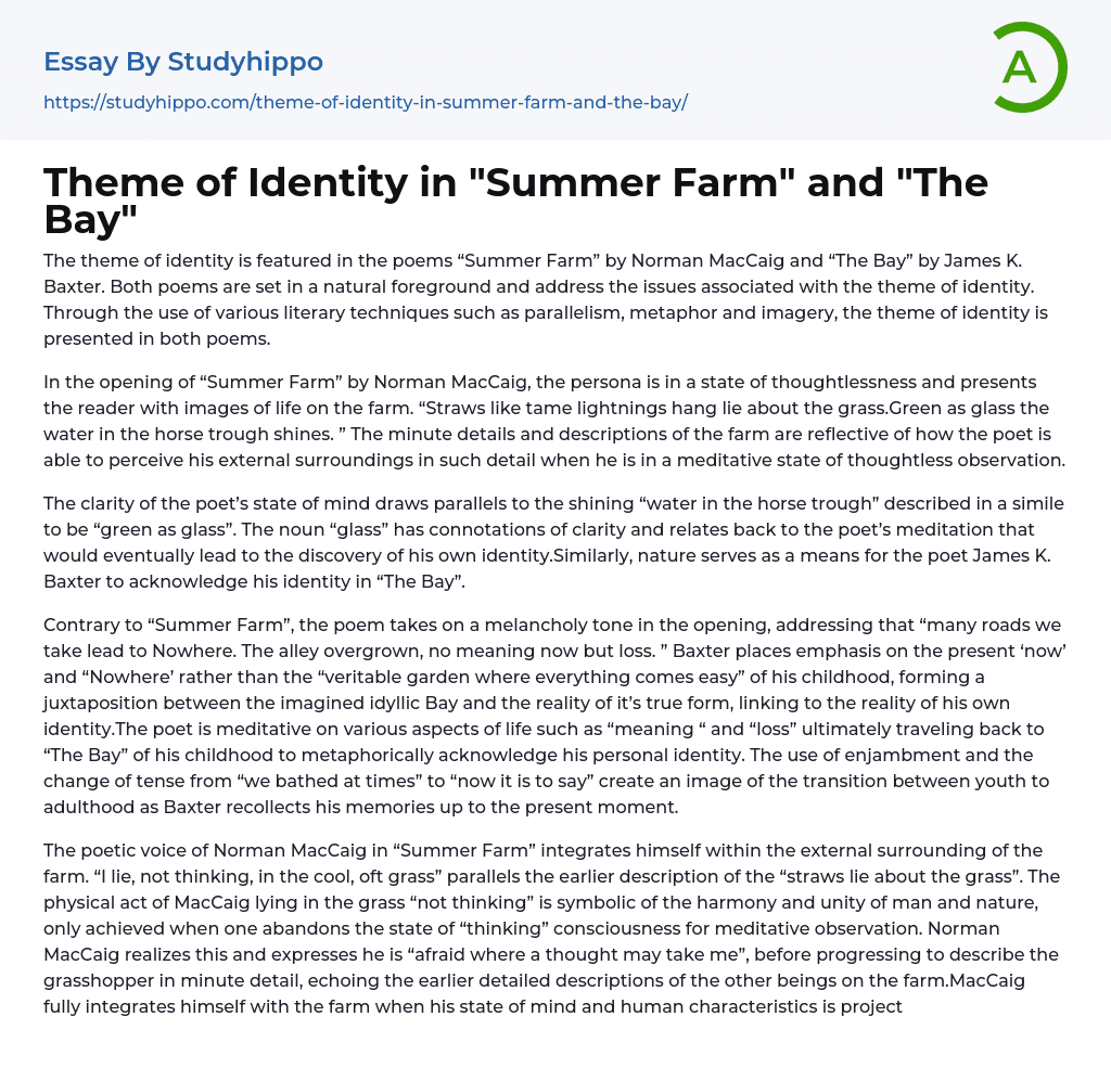 Theme of Identity in “Summer Farm” and “The Bay” Essay Example