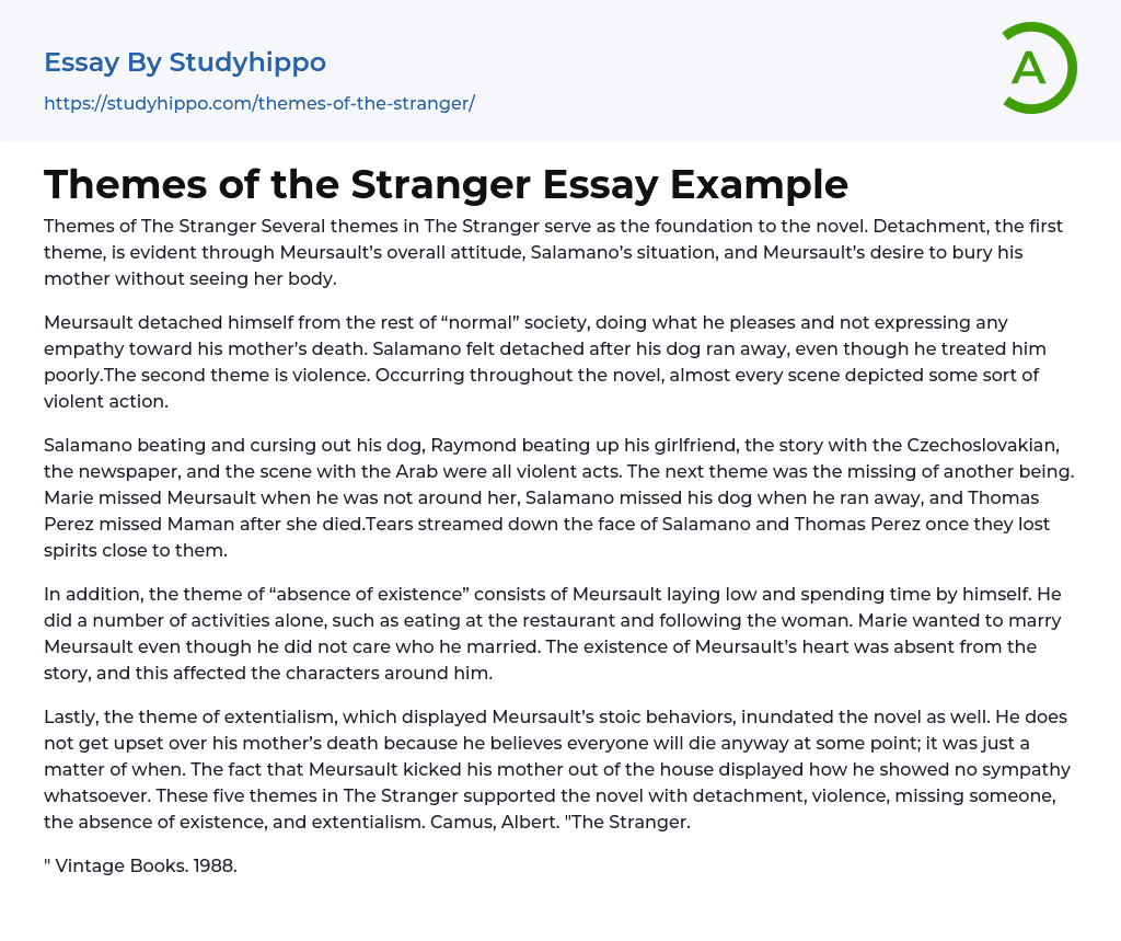 Themes of the Stranger Essay Example