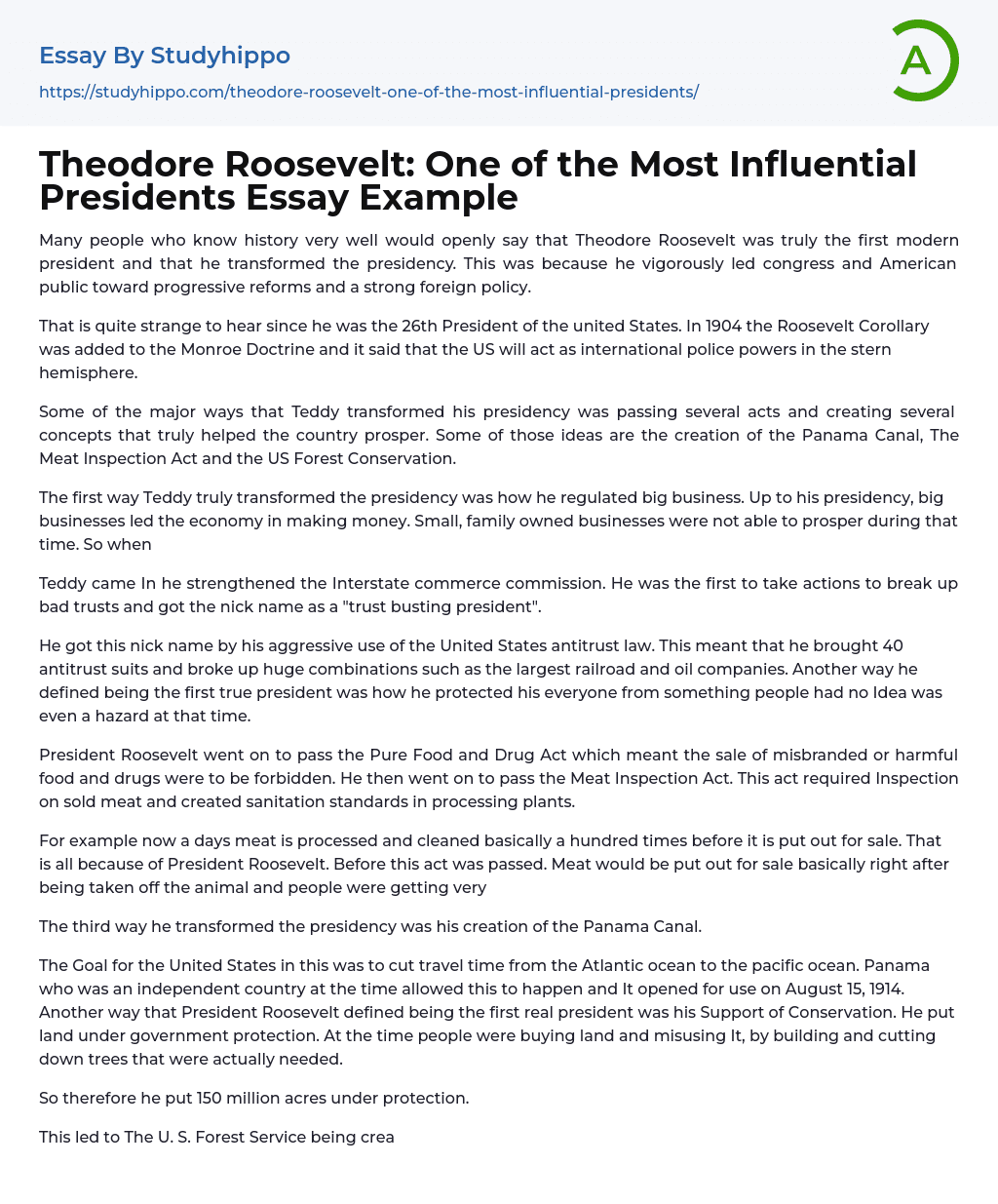 Theodore Roosevelt: One of the Most Influential Presidents Essay Example
