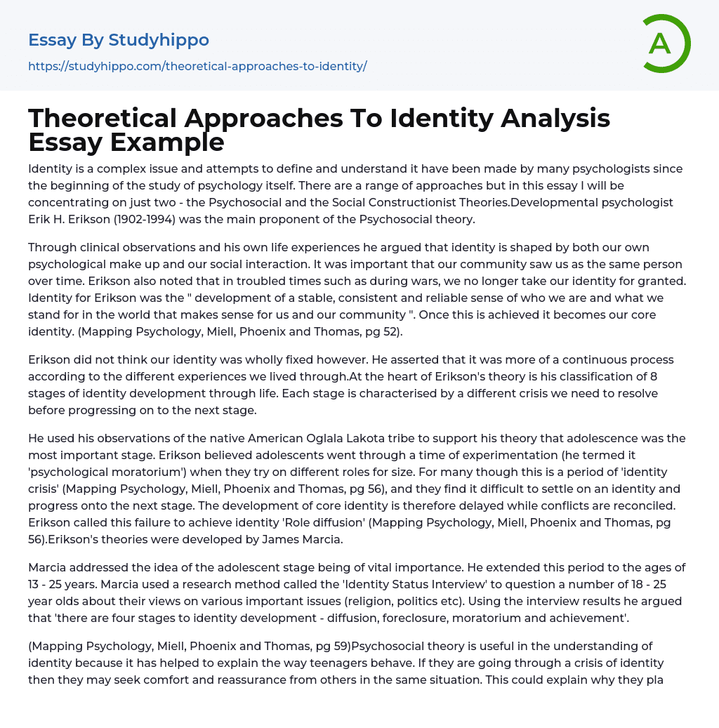 Theoretical Approaches To Identity Analysis Essay Example