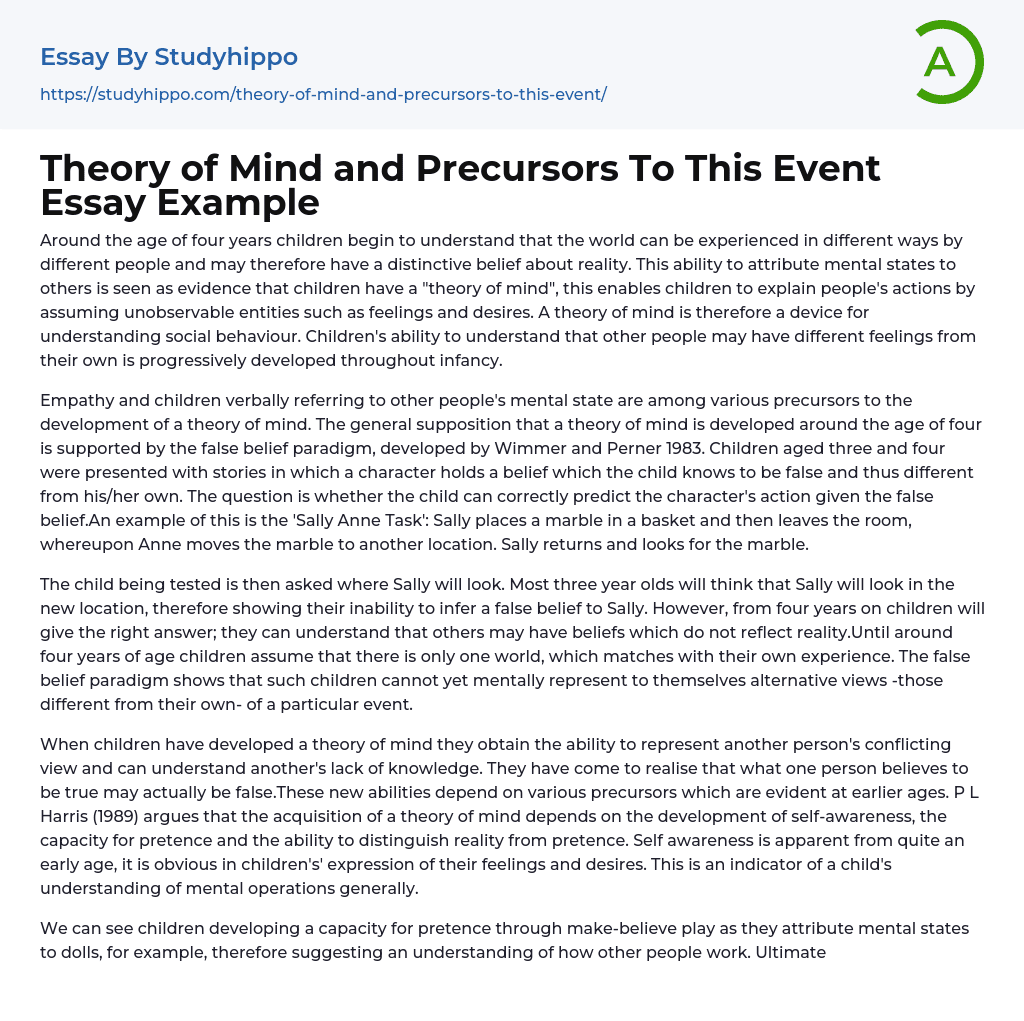 Theory of Mind and Precursors To This Event Essay Example