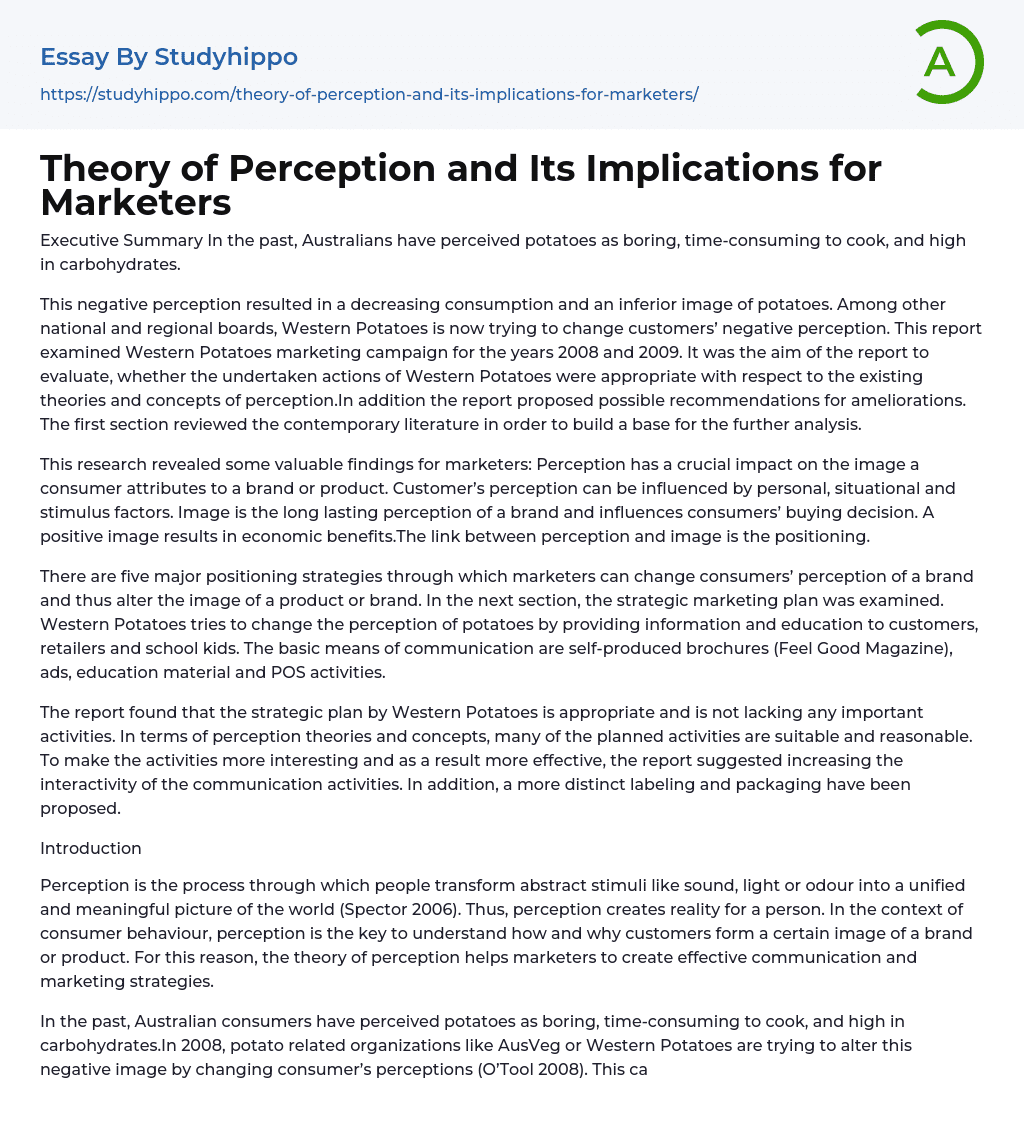 Theory of Perception and Its Implications for Marketers Essay Example