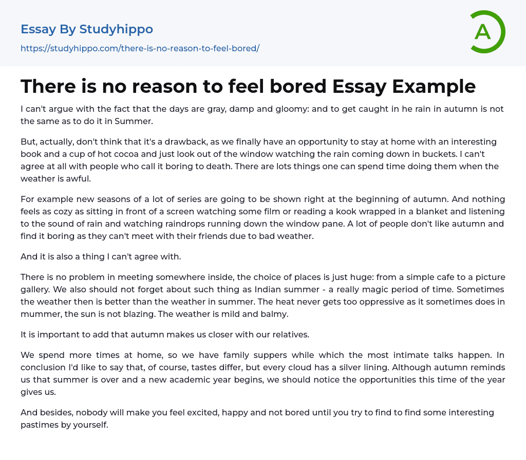 There is no reason to feel bored Essay Example