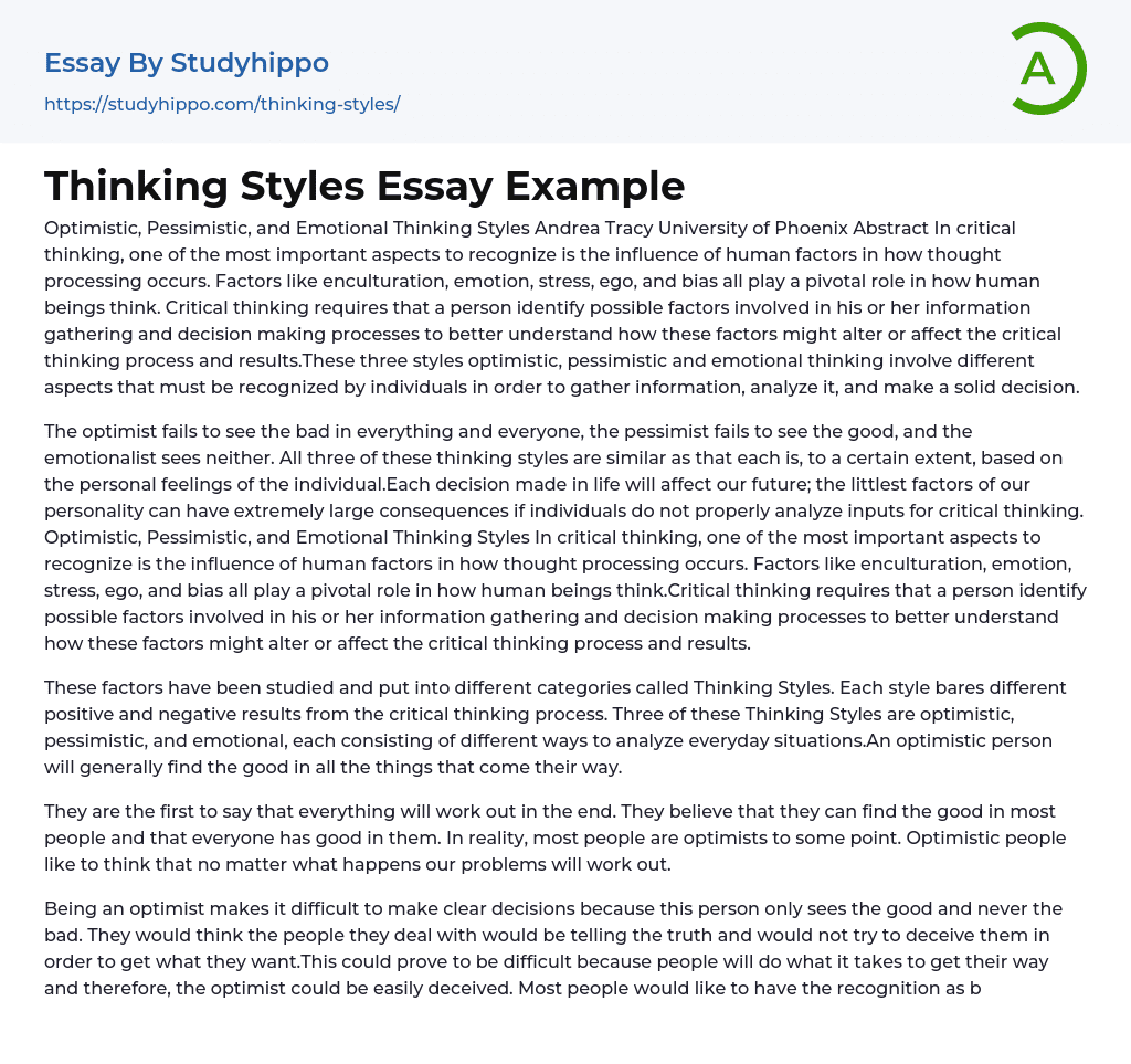 Thinking Styles Essay Example