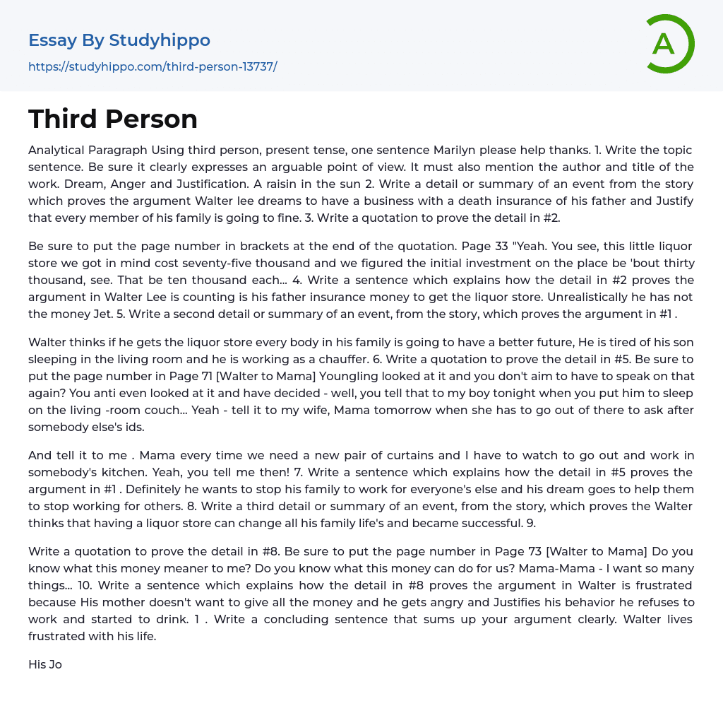 Third Person Essay Example StudyHippo