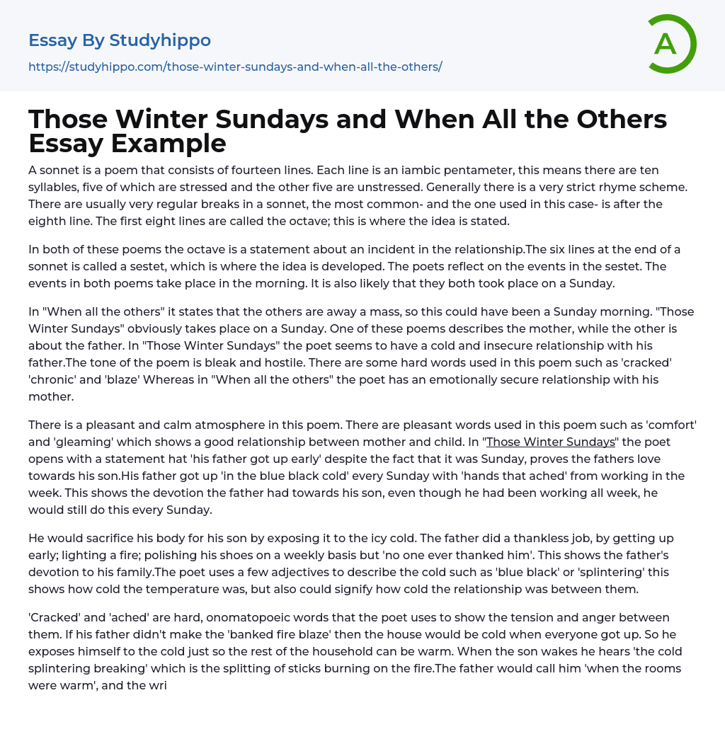Those Winter Sundays and When All the Others Essay Example