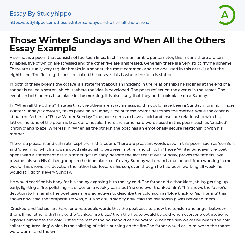 Those Winter Sundays And When All The Others Essay Example StudyHippo