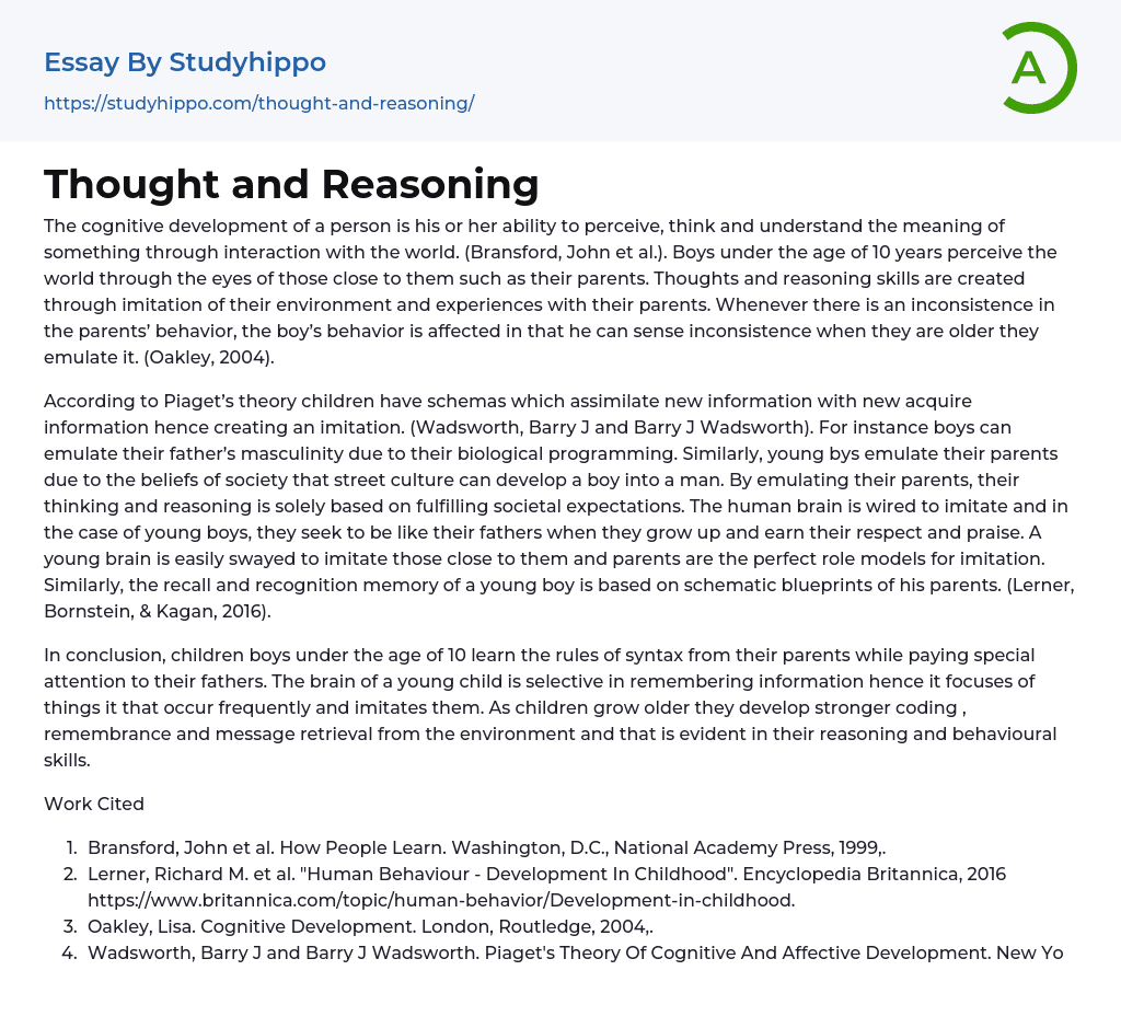 Thought and Reasoning Essay Example