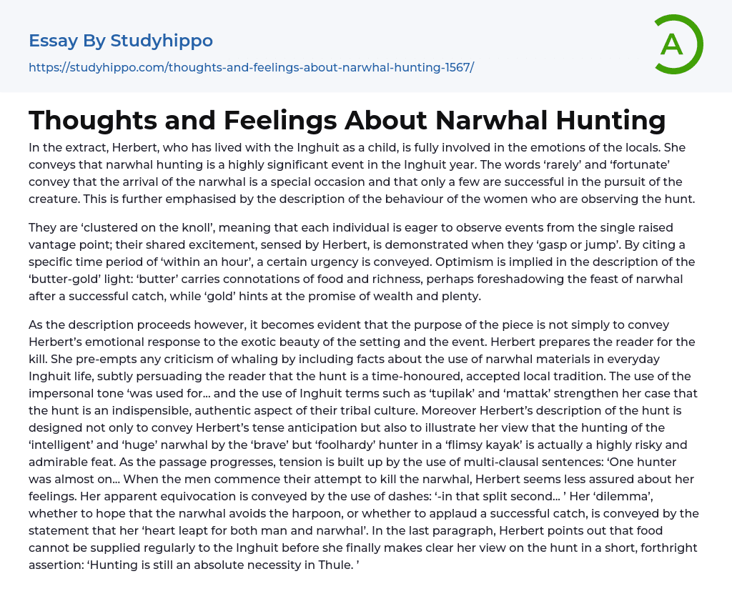 Thoughts and Feelings About Narwhal Hunting Essay Example