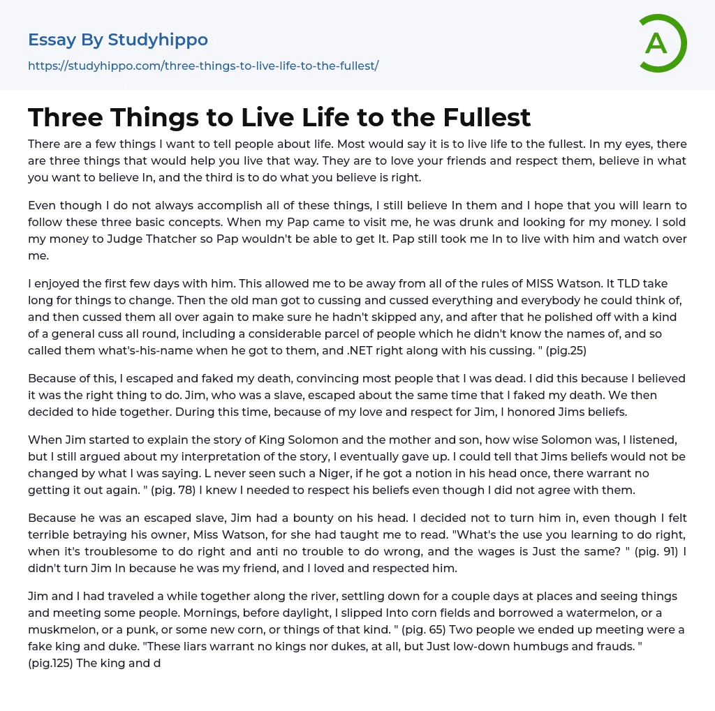Three Things to Live Life to the Fullest Essay Example