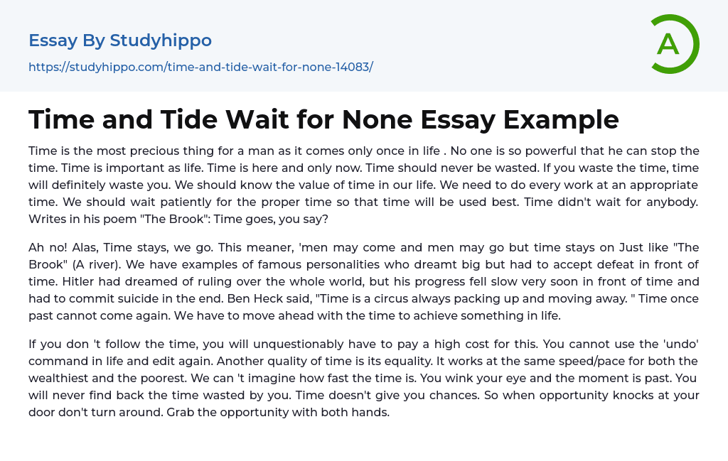 Time and Tide Wait for None Essay Example