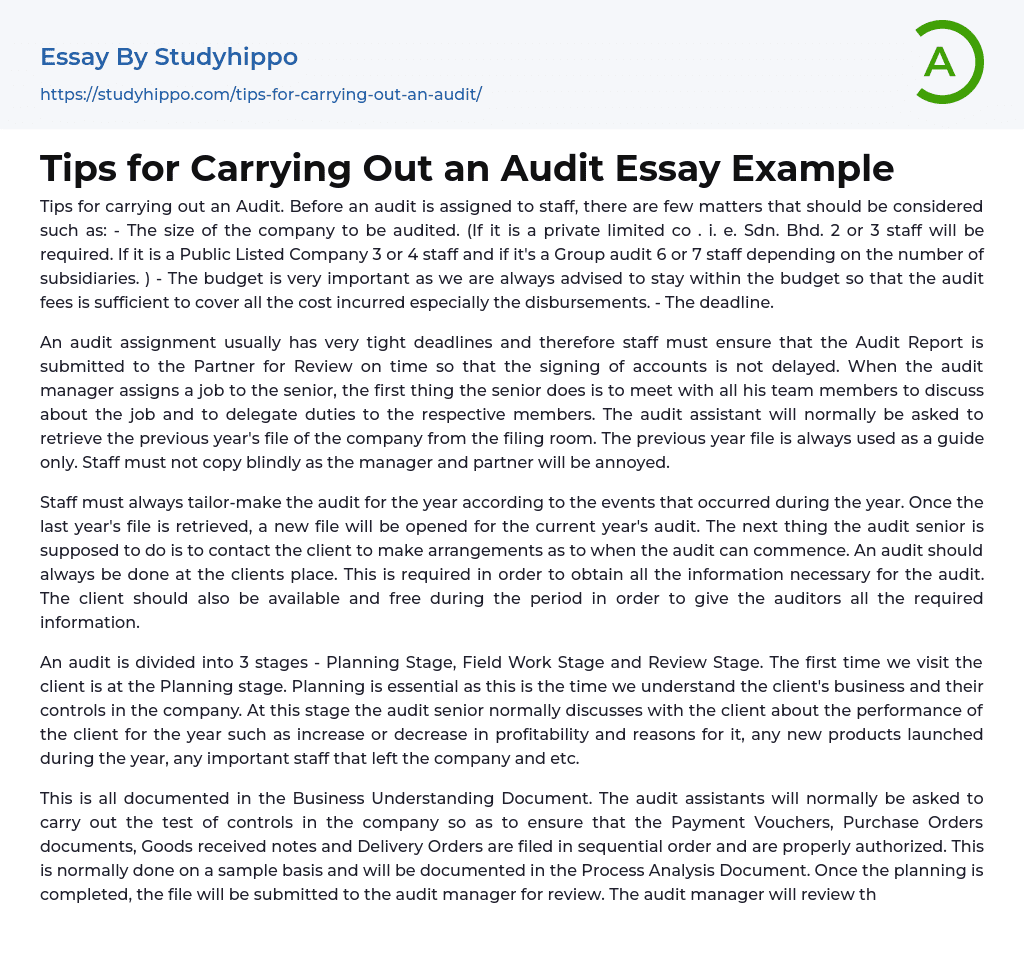 Tips for Carrying Out an Audit Essay Example