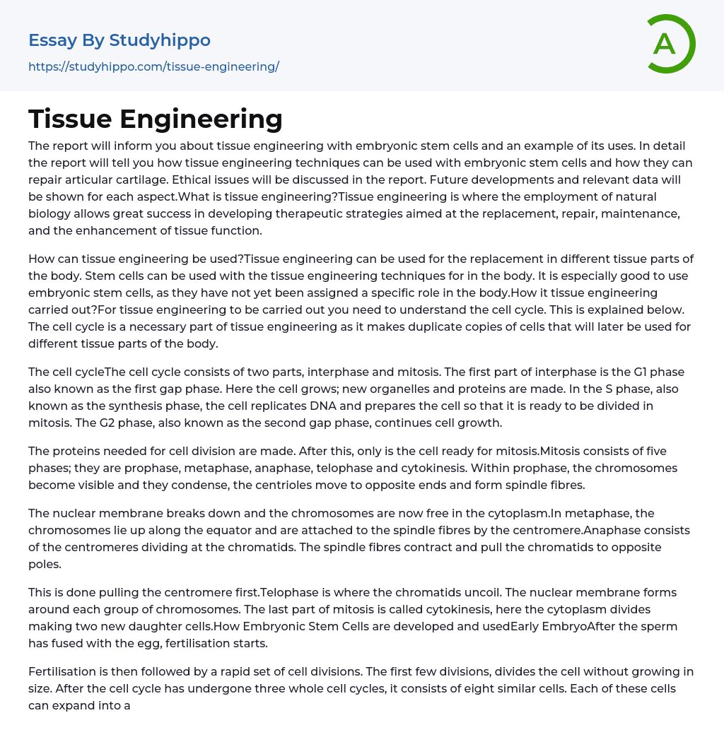 Tissue Engineering Essay Example