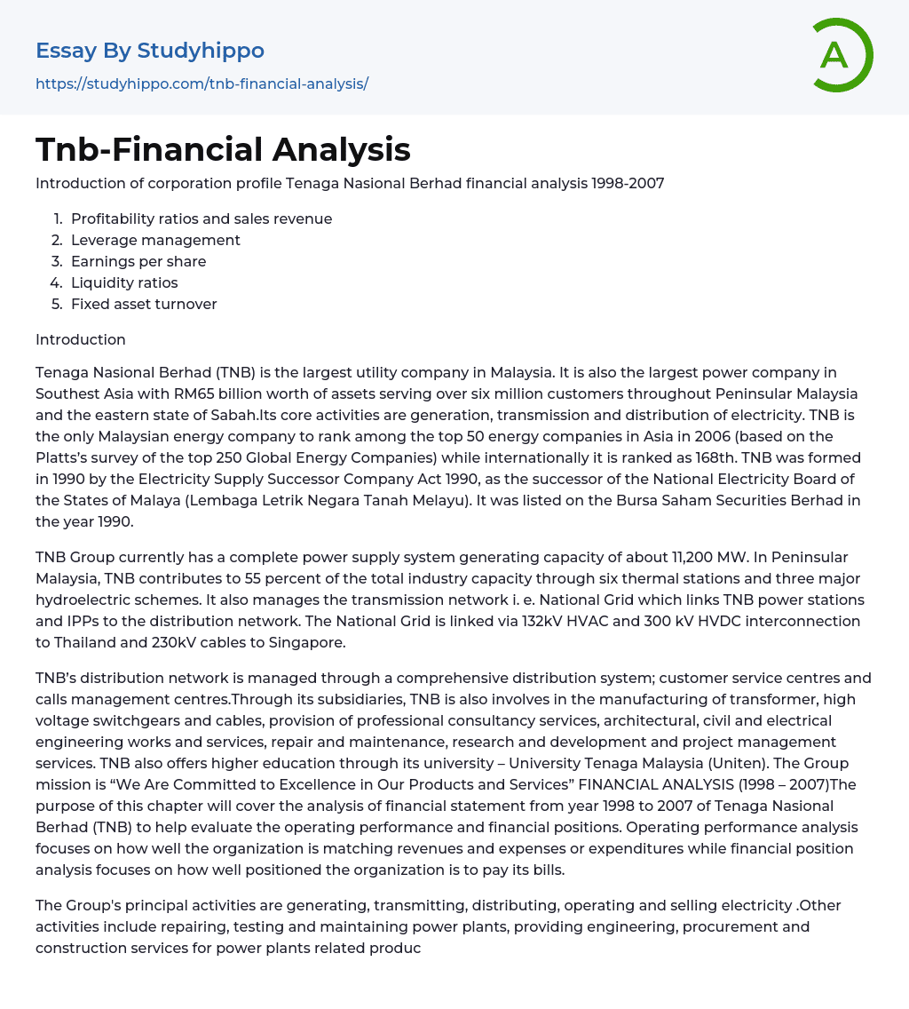 Tnb-Financial Analysis Essay Example