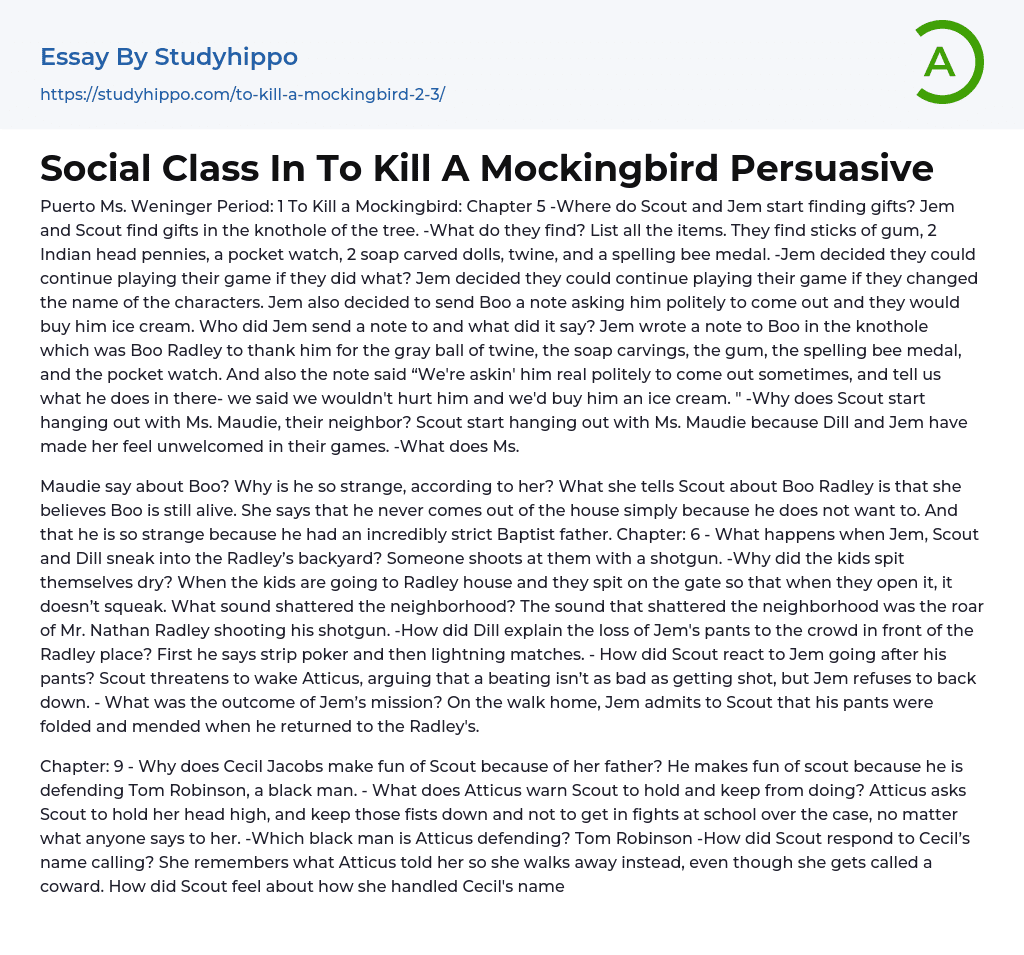 Social Class In “To Kill A Mockingbird Persuasive” Essay Example