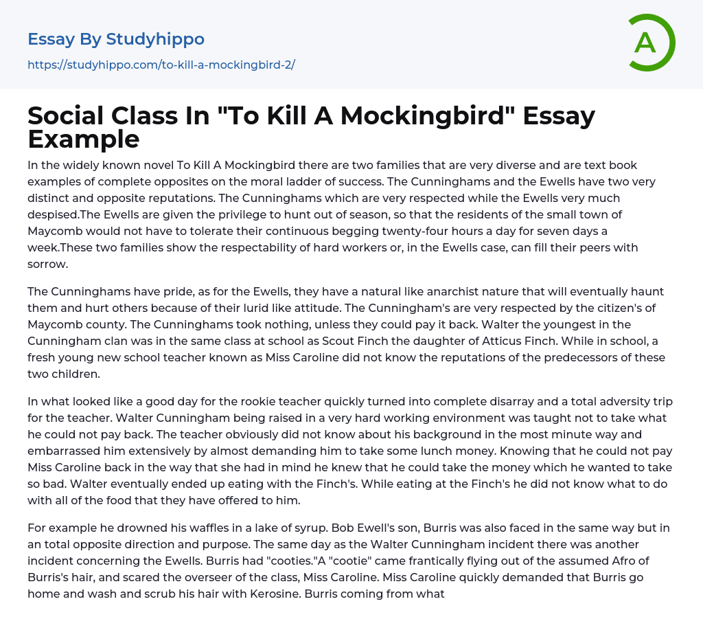 Social Class In “To Kill A Mockingbird” Essay Example