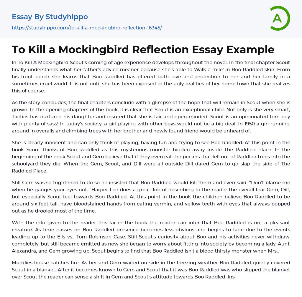 To Kill a Mockingbird Reflection Essay Example