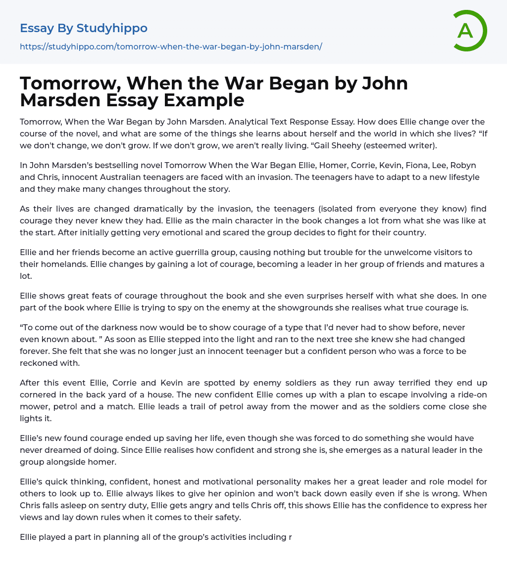 Tomorrow, When the War Began by John Marsden Essay Example
