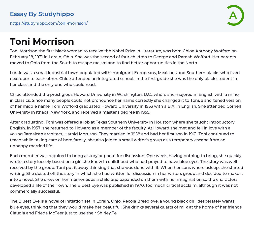 Toni Morrison Essay Example